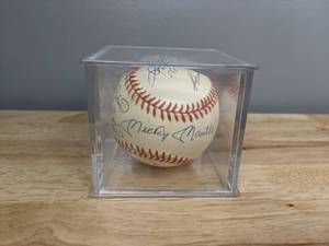 Rare 500 Home Run Club Autographed MLB Baseball Signed by 12 Players Mantle Aaron Williams Jackson Mays Killebrew Mathews Banks COA HOF X