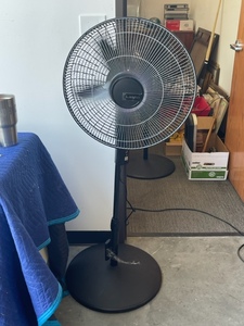 Lasko Fan