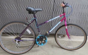 lot 38 image: LIKE NEW BICYCLE