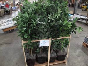 lot 641 image: Pallet of Roughly 20 Vickerman Indoor Potted Trees in Wicker Baskets