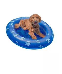 lot 729 image: NEW PoolCandy Inflatable Pet Float - Large Dog