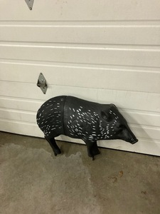 Hog Decoy