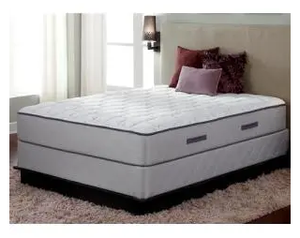 Brand New Sealy Harbor Collection 12.5 Willow Firm Queen Mattress