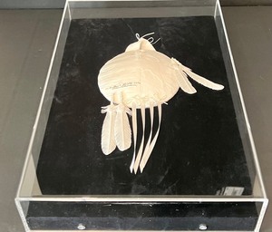 lot 11 image: Cast Paper Sculpture by Allen Eckman