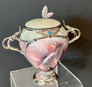 lot 53 image: Native Spirits Music Box Collection - The Awakening by L. Bogle