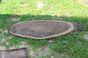 lot 282 image: Black Walnut Live Edge Wood Slab