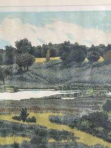 lot 89 image: Meadowland - Signed and Numbered #120130