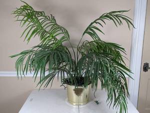 lot 66 image: Large Artificial Houseplant in a Brass Pot, Includes Clear Christmas Lights