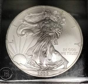2009 AMERICAN SILVER EAGLE BLACK SLAB