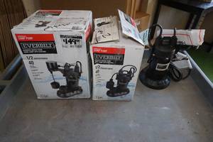 lot 157 image: Everbilt Submersible Sump Pumps