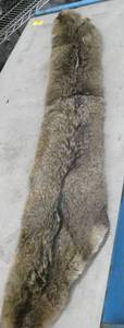 Nice fur with lining, possibly coyote