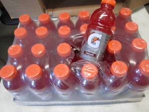 Case of 24- 20 oz Bottles Fruit Pun...
