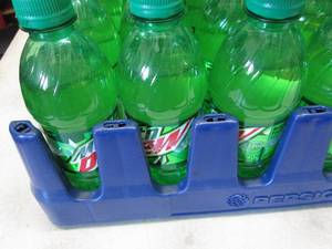 Case of 24- 12 oz Bottles Mountain ...