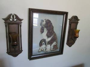 Framed springer spaniel print 19...