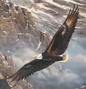 lot 36 image: On Freedoms Wing Framed Print by Kelley Galleries