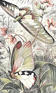 lot 72 image: Dancing Butterly I Framed Art