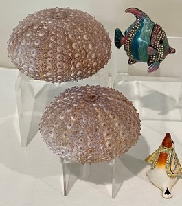 lot 117 image: Fun Bejeweled Fish and Penguin Trinket Boxes and Two Seashells