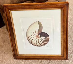 lot 113 image: Beautiful Framed Seashell Motif Art by Jhn Matthew Moore