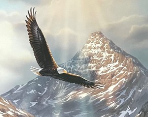 lot 146 image: Limited Edition Reflections of Freedom Framed Art by Rick Kelley