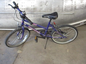 Gemini Bike