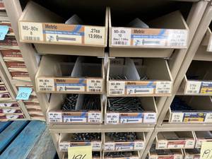ASSORTED METRIC SCREWS WITH CABINET