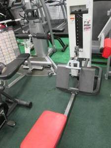 lot 59 image: Cybex low row machine...