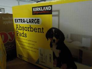 Kirkland Extra Large Absorbent Pet ...