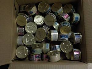 Blue Wilderness Cat Food...