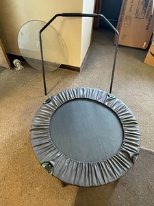 Trampoline with Handrail