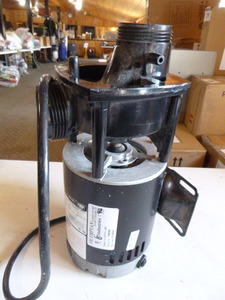 Olympian Water Pump