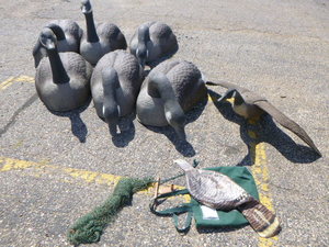 6 Goose Decoys