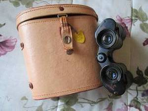 lot 70 image: Horizon binoculars in case...