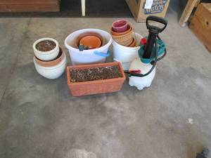 lot 171 image: Several flower pots, some w pottin...