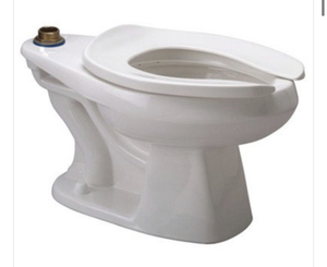 lot 83 image: ZURN Z5665-BWL Toilet Bowl Only Floor Mounted Elongated Toilet System - White