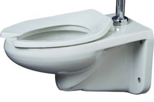 lot 59 image: PROFLO GPF Toilet Bowl Only - Hand Lever