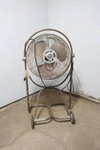 fan