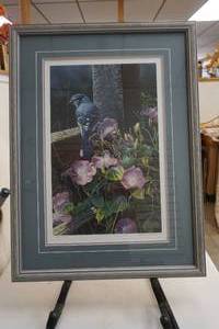 Morning Glorie Blue Jay print