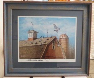 Pigeons print