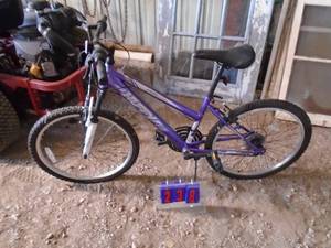 Purple Huffy with with 24 tires. As shown.