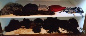 Contents Of Cabinet