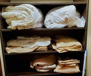 Contents Of Closet