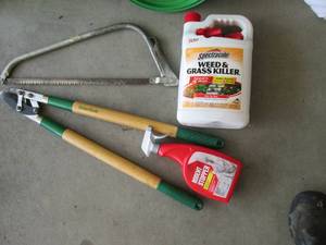 lot 40 image: Hand saw, tree trimmer, weedgrass ...