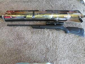 lot 151 image: Gamo Big Cat 1250 FPS .177 caliber ...