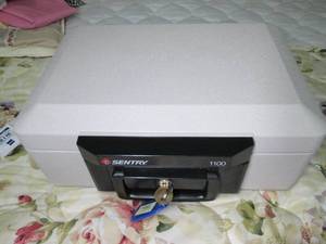 lot 190 image: Sentry 1100 safe...
