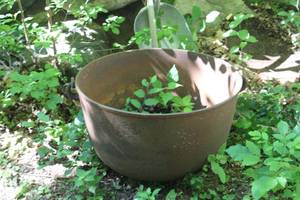 lot 35 image: Cast Iron Cauldron