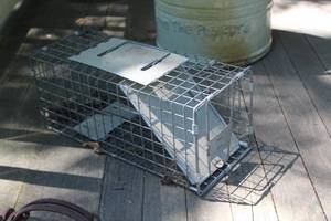 lot 200 image: Metal Live Animal Cage Trap