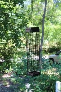 lot 227 image: 18 Hanging Squirrel Feeder Cage