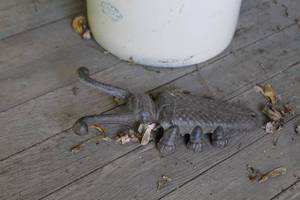 lot 214 image: 10 Beetle Cast Iron Boot Jack