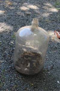 lot 190 image: Glass JugCoin Jar