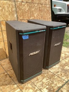 2 Peavey DTH2 Speakers